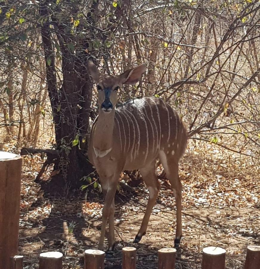 At Rest Bushstay Hoedspruit Exterior foto