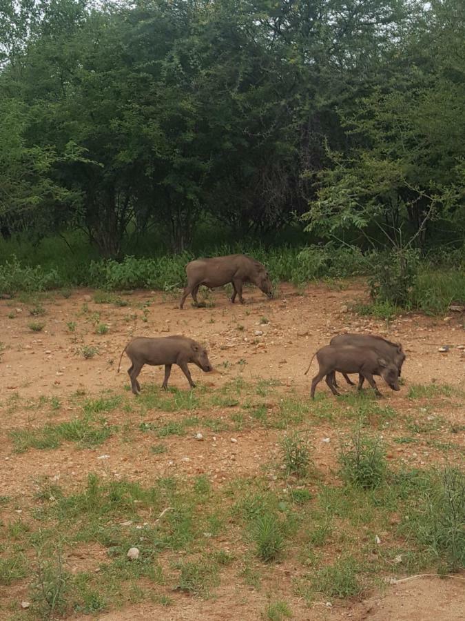 At Rest Bushstay Hoedspruit Exterior foto