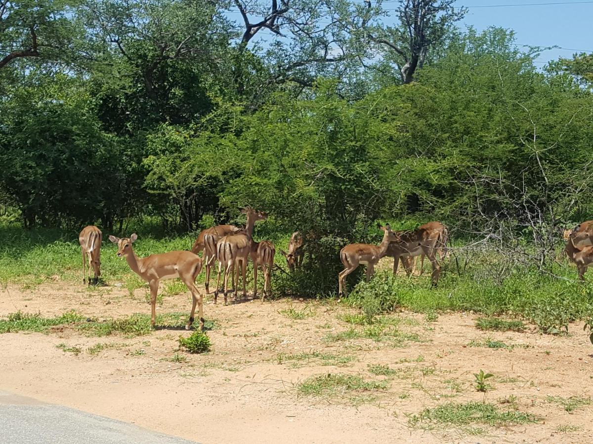 At Rest Bushstay Hoedspruit Exterior foto